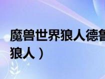 魔獸世界狼人德魯伊和暗夜德魯伊（魔獸世界狼人）