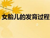 女胎兒的發(fā)育過(guò)程（胎兒發(fā)育過(guò)程圖分辨女）