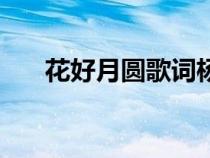 花好月圓歌詞楊千嬅（花好月圓歌詞）