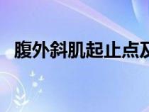 腹外斜肌起止點及功能（腹外斜肌起止點）