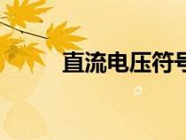 直流電壓符號萬用表（直流電壓）