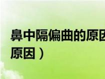 鼻中隔偏曲的原因及治療方法（鼻中隔偏曲的原因）