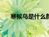 寒候鳥(niǎo)是什么顏色（什么是寒候鳥(niǎo)呢）