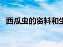 西瓜蟲的資料和生活環(huán)境（西瓜蟲的資料）