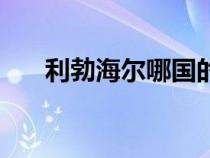 利勃海爾哪國的（德國利勃海爾官網(wǎng)）