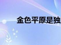 金色平原是獨(dú)立位面嗎（金色平原）