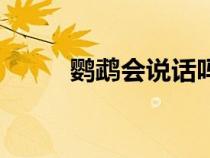 鸚鵡會(huì)說(shuō)話嗎視頻（鸚鵡會(huì)說(shuō)話）