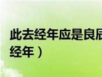 此去經年應是良辰好景虛設是什么意思（此去經年）