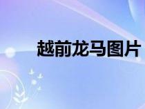 越前龍馬圖片 帥氣（越前龍馬圖片）