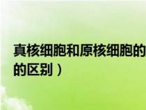 真核細(xì)胞和原核細(xì)胞的區(qū)別與共同點(diǎn)(真核細(xì)胞和原核細(xì)胞的區(qū)別) 真核細(xì)胞和原核細(xì)胞的區(qū)別與共同點(diǎn)(真核細(xì)胞和原核細(xì)胞的區(qū)別)