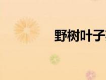 野樹葉子英語(yǔ)（葉子英語(yǔ)）