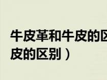牛皮革和牛皮的區(qū)別哪個(gè)質(zhì)量好(牛皮革和牛皮的區(qū)別) 牛皮革和牛皮的區(qū)別哪個(gè)質(zhì)量好(牛皮革和牛皮的區(qū)別)