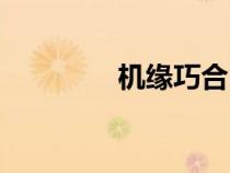機緣巧合電影（肌緣巧合）