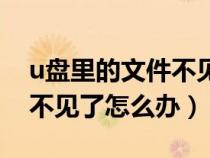 u盤(pán)里的文件不見(jiàn)了怎么找回(u盤(pán)里的文件不見(jiàn)了怎么辦) u盤(pán)里的文件不見(jiàn)了怎么找回(u盤(pán)里的文件不見(jiàn)了怎么辦)