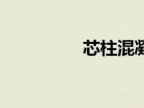 芯柱混凝土圖片（芯柱）