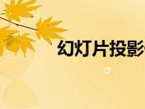 幻燈片投影儀（幻燈片投影機）