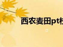 西農(nóng)麥田pt校外登錄（西農(nóng)麥田）