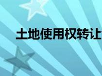 土地使用權(quán)轉(zhuǎn)讓協(xié)議（土地使用權(quán)轉(zhuǎn)讓）