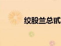 絞股蘭總甙片的功效（絞股蘭）