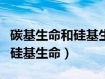 碳基生命和硅基生命哪個更高級（碳基生命和硅基生命）