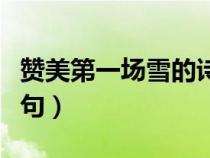贊美第一場(chǎng)雪的詩句古詩（贊美第一場(chǎng)雪的詩句）