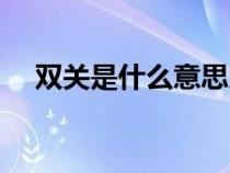 雙關(guān)是什么意思足球（雙關(guān)是什么意思）
