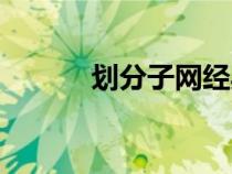 劃分子網(wǎng)經(jīng)典例題（劃分子網(wǎng)）