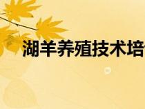 湖羊養(yǎng)殖技術培訓視頻（湖羊養(yǎng)殖技術）