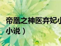 帝凰之神醫(yī)棄妃小說百度云（帝凰之神醫(yī)棄妃小說）