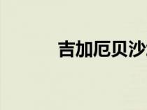 吉加厄貝沙坦片說明書（吉加）