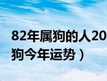 82年屬狗的人2024年的運勢及運程（82年屬狗今年運勢）