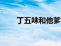 丁五味和他爹相認第幾部（丁五味）