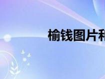 榆錢(qián)圖片和功效（榆錢(qián)圖片）