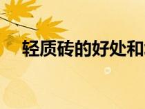 輕質(zhì)磚的好處和壞處（輕質(zhì)磚是什么磚）