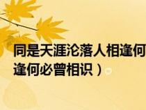 同是天涯淪落人相逢何必曾相識(shí)下一句（同是天涯淪落人相逢何必曾相識(shí)）