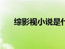 綜影視小說是什么意思（綜影視小說）