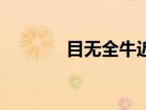目無全牛近義詞（目無全牛）