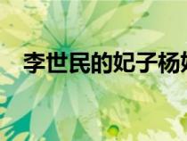 李世民的妃子楊妃是誰?（李世民的妃子）