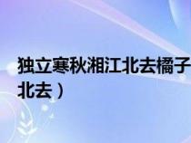 獨(dú)立寒秋湘江北去橘子洲頭正常語序多少字（獨(dú)立寒秋湘江北去）