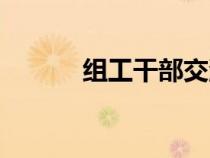 組工干部交流發(fā)言（組工干部）