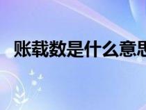 賬載數(shù)是什么意思（賬載金額是什么意思）