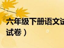 六年級(jí)下冊(cè)語文試卷可打印（六年級(jí)下冊(cè)語文試卷）