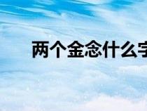 兩個(gè)金念什么字含義（兩個(gè)金念什么）
