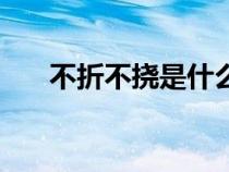 不折不撓是什么短語(yǔ)類型（不折不撓）