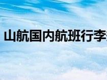 山航國(guó)內(nèi)航班行李規(guī)定（國(guó)內(nèi)航班行李規(guī)定）