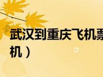 武漢到重慶飛機票查詢時刻表(武漢到重慶飛機) 武漢到重慶飛機票查詢時刻表(武漢到重慶飛機)