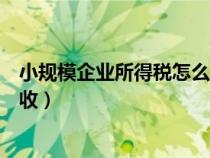小規(guī)模企業(yè)所得稅怎么征收標(biāo)準(zhǔn)（小規(guī)模企業(yè)所得稅怎么征收）