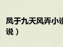 鳳于九天風(fēng)弄小說完結(jié)了嗎（鳳于九天風(fēng)弄小說）
