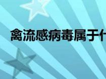 禽流感病毒屬于什么型病毒（禽流感病毒）