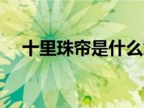 十里珠簾是什么意思（珠簾十里卷春風(fēng)）